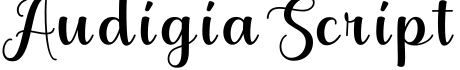AudigiaScript预览字体图片
