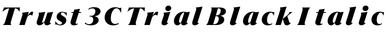 Trust 3C Trial Black Italic预览字体图片