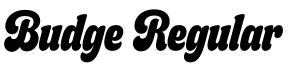 Budge Regular预览字体图片