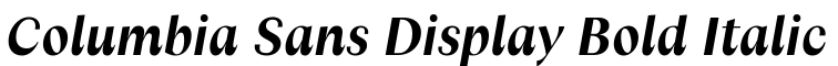 Columbia Sans Display Bold Italic预览图片