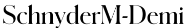 SchnyderM-Demi预览字体图片