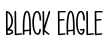 Black Eagle预览图片