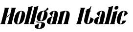 Hollgan Italic预览字体图片