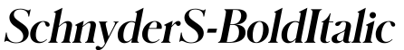 SchnyderS-BoldItalic预览字体图片