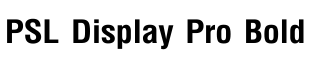 PSL Display Pro Bold预览图片