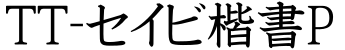 TT-セイビ楷書P预览图片