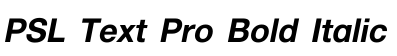 PSL Text Pro Bold Italic预览图片