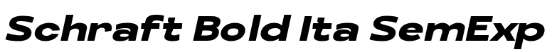Schraft Bold Ita SemExp预览图片