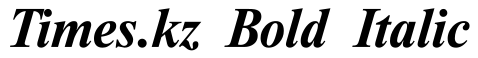 Times.kz Bold Italic预览图片
