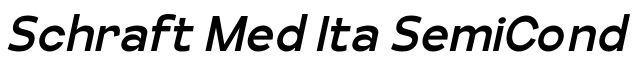 Schraft Med Ita SemiCond预览图片