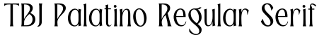 TBJ Palatino Regular Serif预览图片