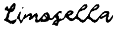 Limosella预览图片