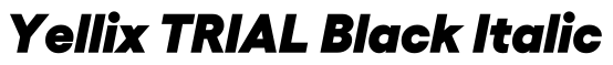 Yellix TRIAL Black Italic预览图片