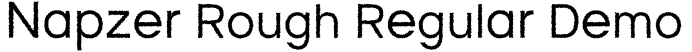 Napzer Rough Regular Demo预览图片