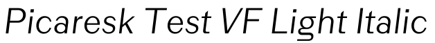 Picaresk Test VF Light Italic预览图片