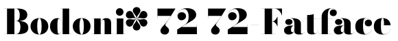 Bodoni* 72 72-Fatface预览图片