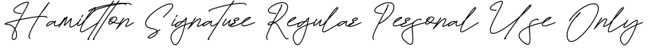 Hamiltton Signature Regular Personal Use Only预览图片
