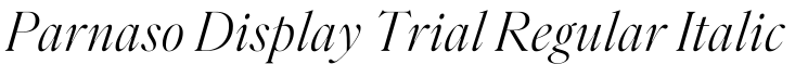 Parnaso Display Trial Regular Italic预览图片