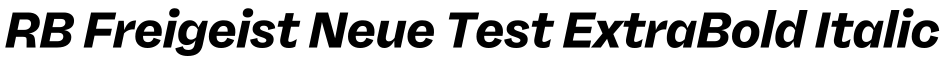 RB Freigeist Neue Test ExtraBold Italic预览图片