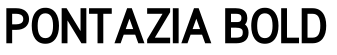 Pontazia Bold预览图片