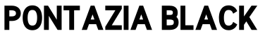 Pontazia Black预览图片