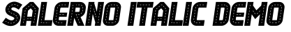 Salerno Italic Demo预览图片