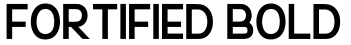 Fortified Bold预览字体图片