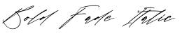 Bold Fade Italic预览图片