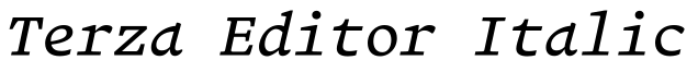 Terza Editor Italic预览图片
