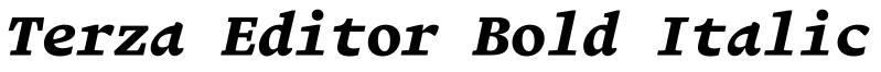 Terza Editor Bold Italic预览图片