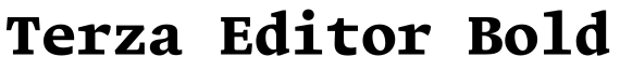 Terza Editor Bold预览图片