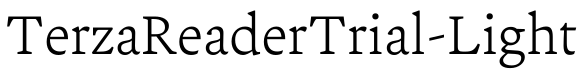 TerzaReaderTrial-Light预览图片