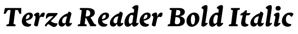 Terza Reader Bold Italic预览图片