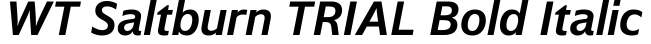 WT Saltburn TRIAL Bold Italic预览图片
